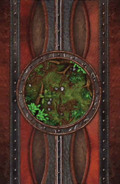 Roots Of Protection Back