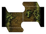 extension