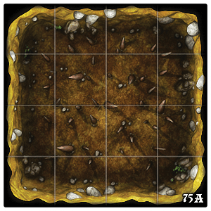 75a